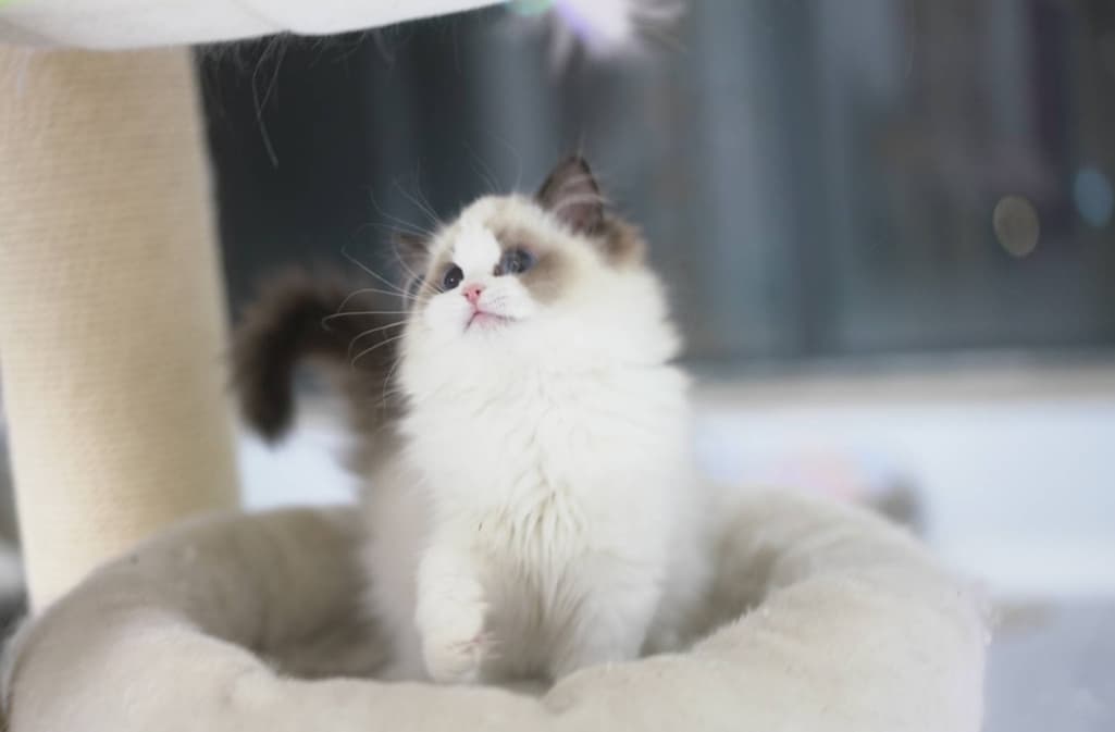 7번 째 사진