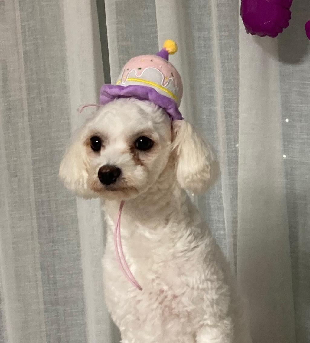 9번 째 사진