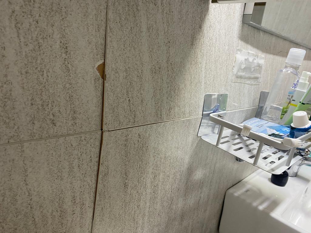 7번 째 사진
