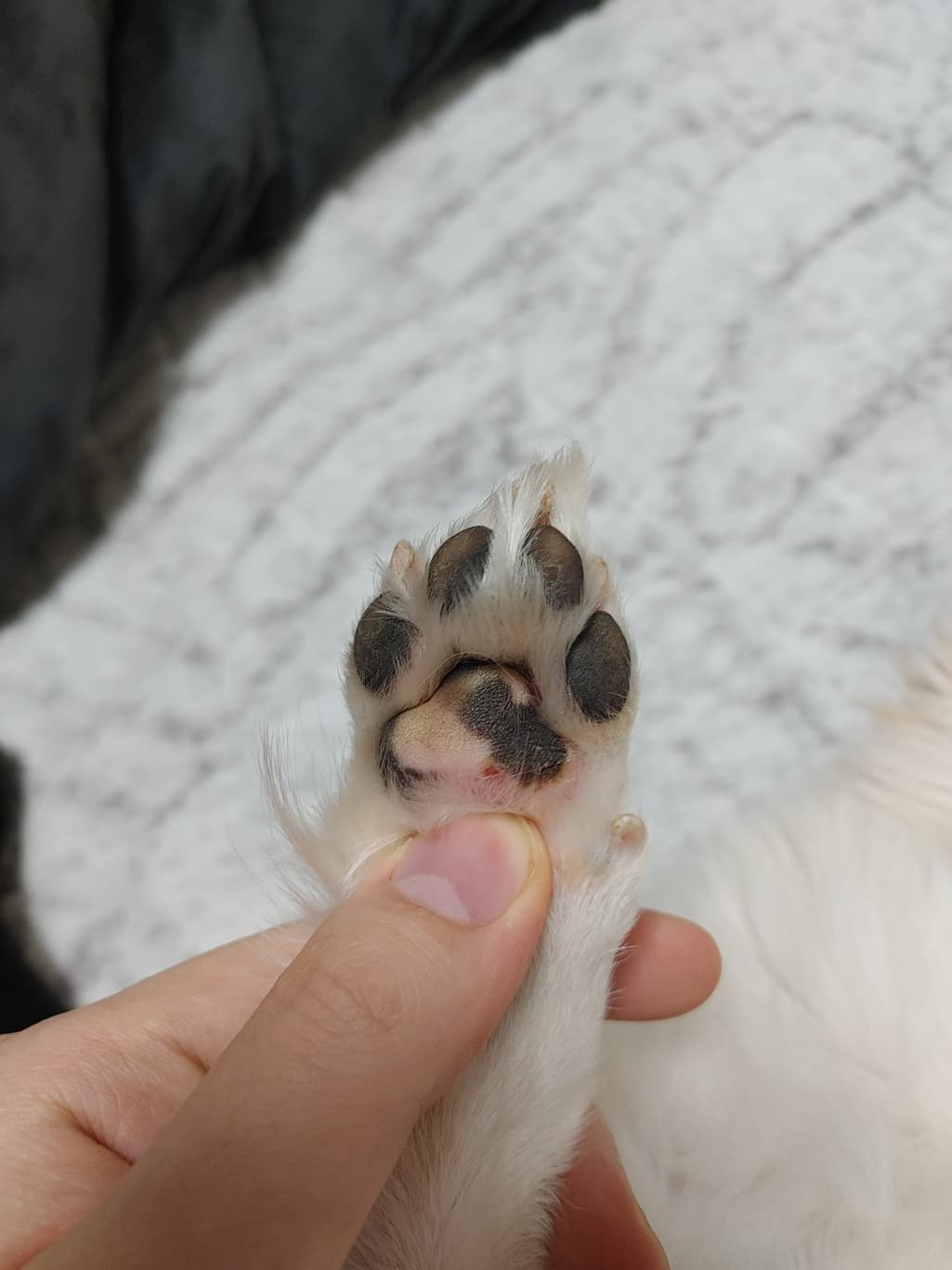 2번 째 사진