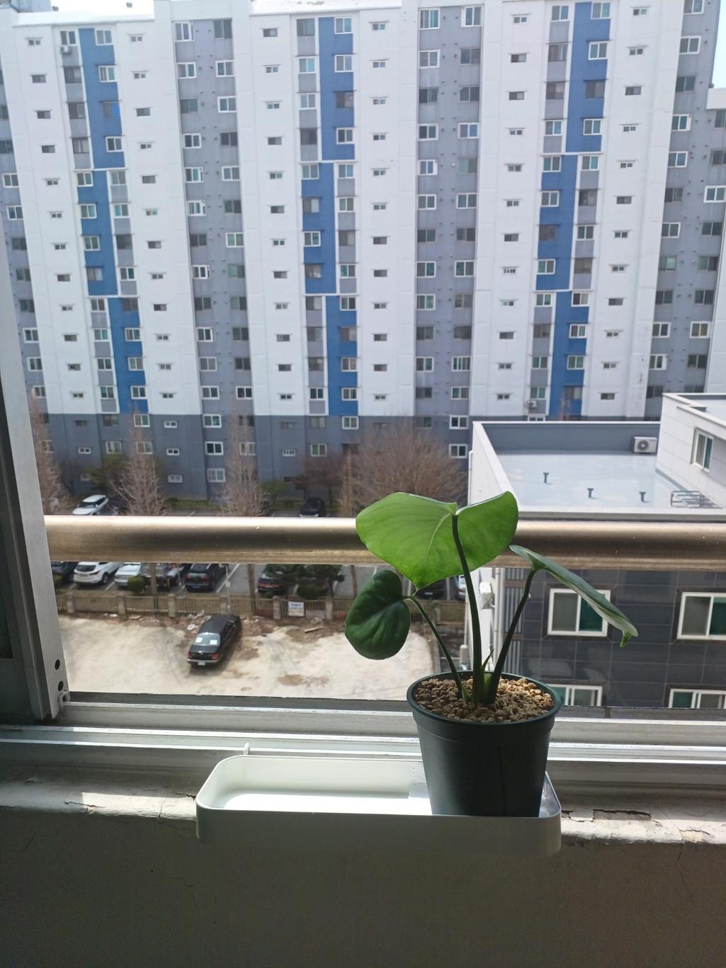 2번 째 사진