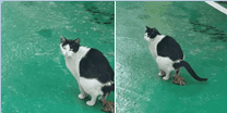 1번 째 사진