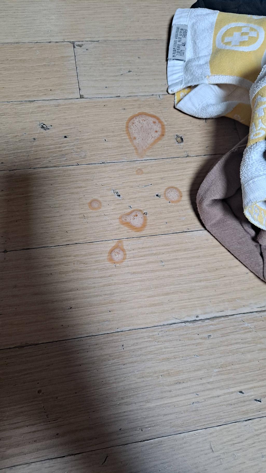 2번 째 사진