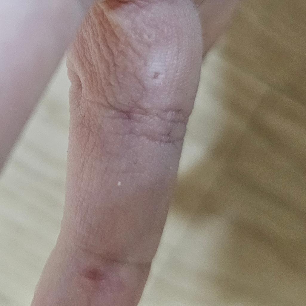 3번 째 사진