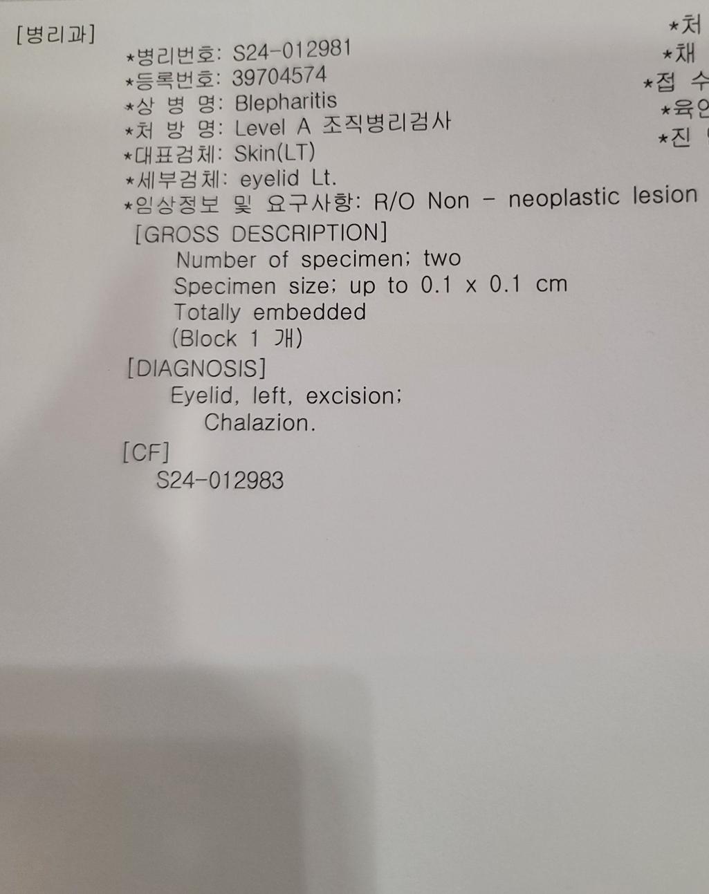 2번 째 사진