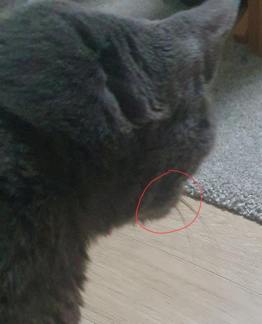 2번 째 사진