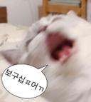 웃지마민병관