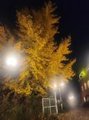 목마른솔개290