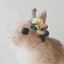 뀨리이잉