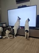 지침ㅡ