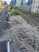 울산훈남