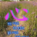 기쁜돼지247
