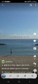 정겨운고슴도치117