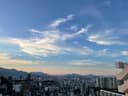 친절한개미새5