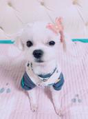 귀요미당