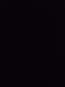 냉철한비단벌레158