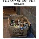 호로록