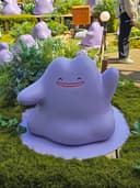 메타몽