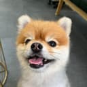 온화한영양35