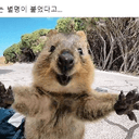 빨간느시61