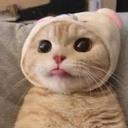 쌈박한뱀191