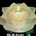 냉철한올빼미26