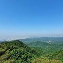 고운물수리276