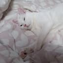 성실한베짱이28
