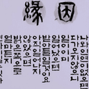 와일드한사랑새276