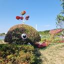 고운악어30