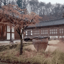 옹골진두더지238