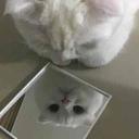 진득한망둥어204