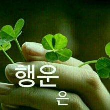 밝은진도개68