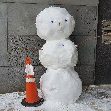 소탈한제비198