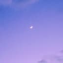 조신한제비246