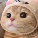 은혜로운숲새233