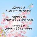 유연한할미새186