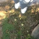 위용있는물총새150