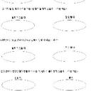 갸름한뱀152