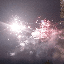 고운개미새40