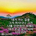 영특한들소141