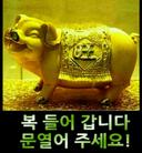 영악한쪼꼬