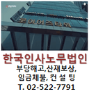 섹시한파리매272