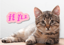 까칠한애벌래200