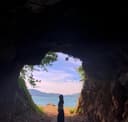 하얀파리매151